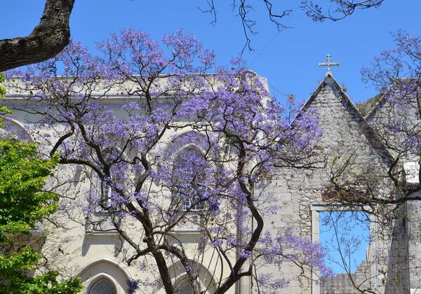 Il terremoto di Lisbona